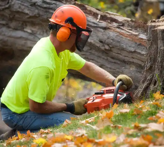 tree services Highland Falls